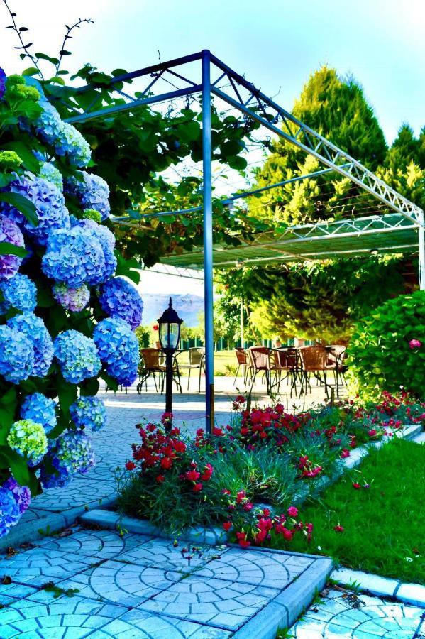 Casa Nita Apartamento Ulcinj Exterior foto