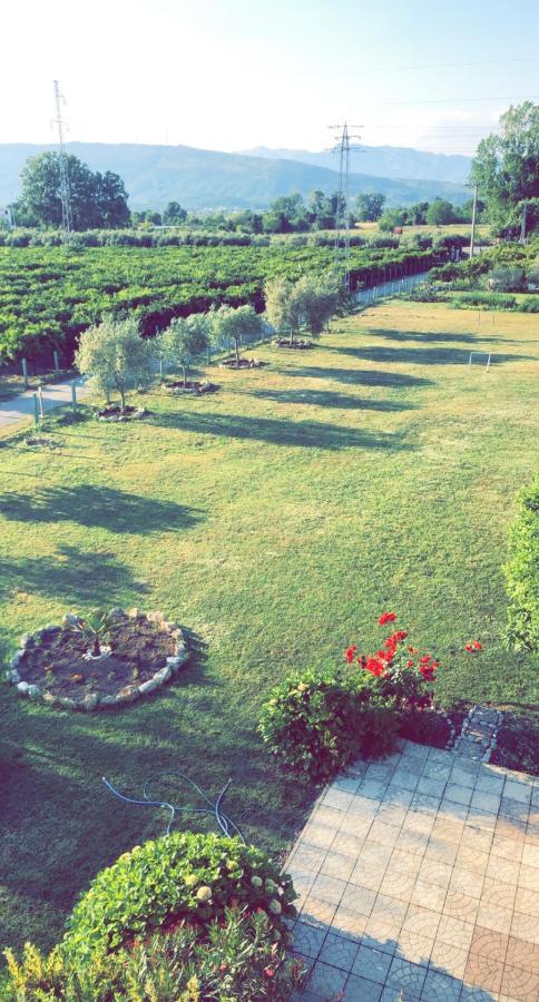 Casa Nita Apartamento Ulcinj Exterior foto