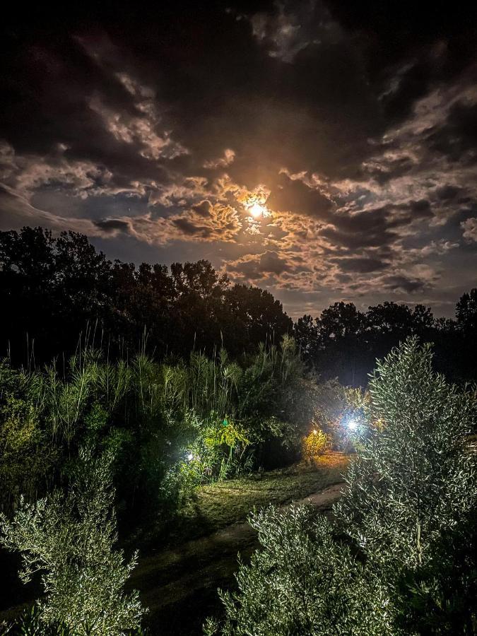 Casa Nita Apartamento Ulcinj Exterior foto